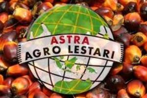 ASTRA AGRO LESTARI: Volume Penjualan CPO Turun 11,8%